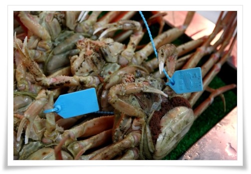 いきいき魚市-8 13.12.29