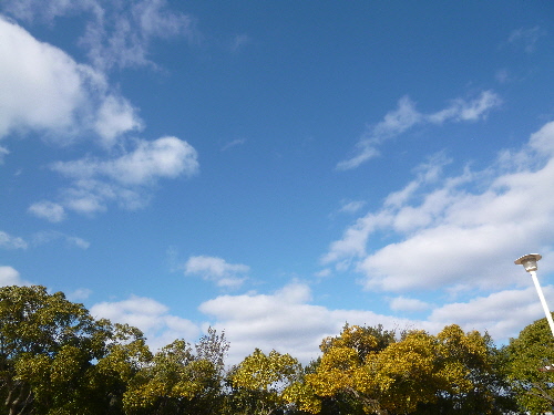 P1140865(1).JPG