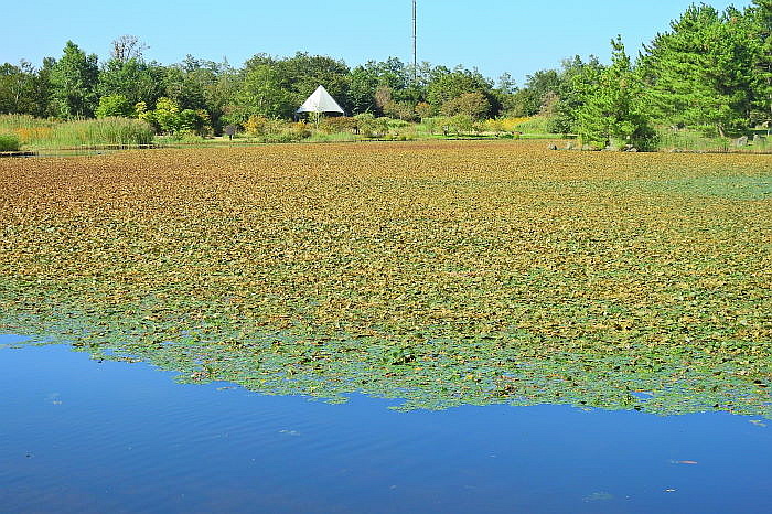 0162DSCN7120.JPG