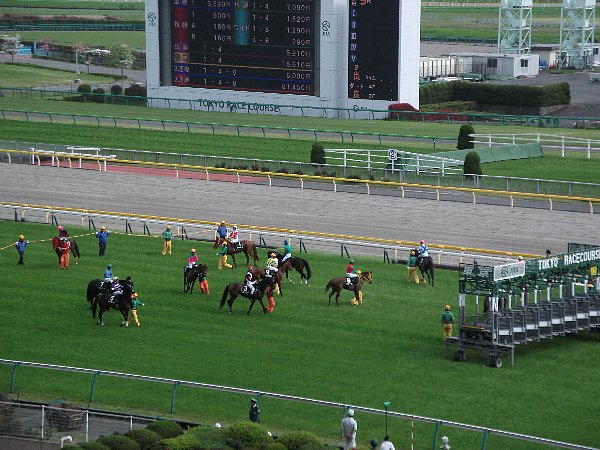 4-23 tokyo-keiba-115.JPG