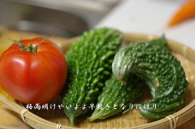 夏野菜