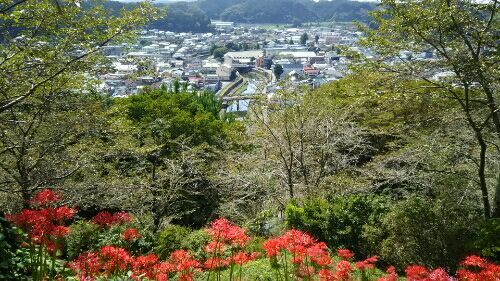 rblog-20170924192005-03.jpg