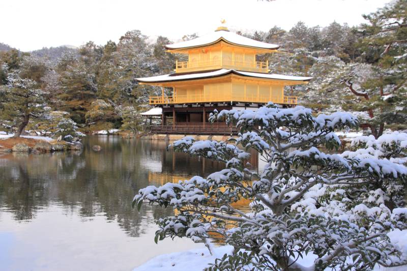 冠雪金閣_003.jpg
