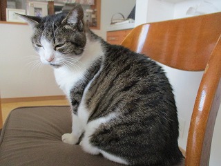IMG_8544ss.jpg