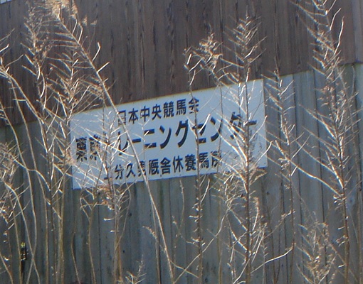 二分久男厩舎休養馬房.jpg