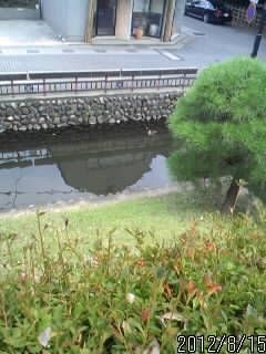上からみた水堀