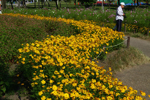 木曽三川公園　26.9.22-8_edited-1.jpg