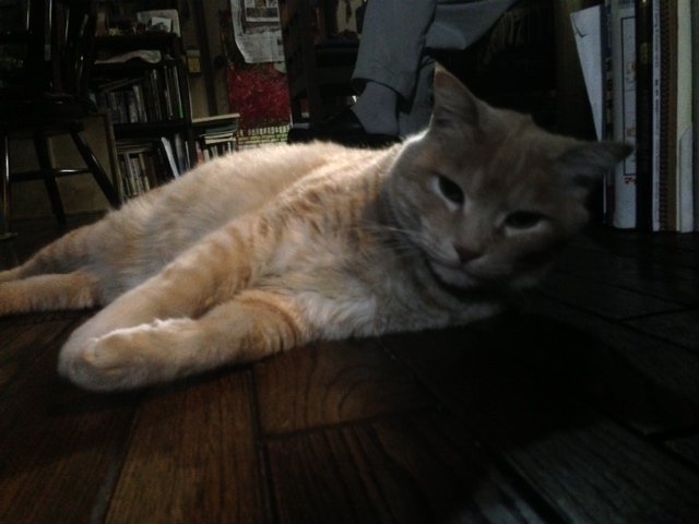 20130123.JPG