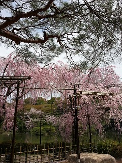 2015-04-09 12.58.10ss.jpg