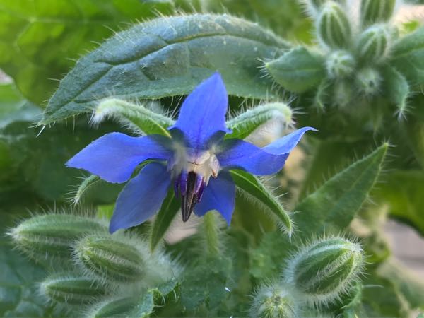rblog-20181029111344-05.jpg