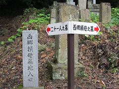 IMG_2318.jpg