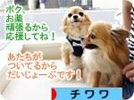 ganbaru banner.JPG