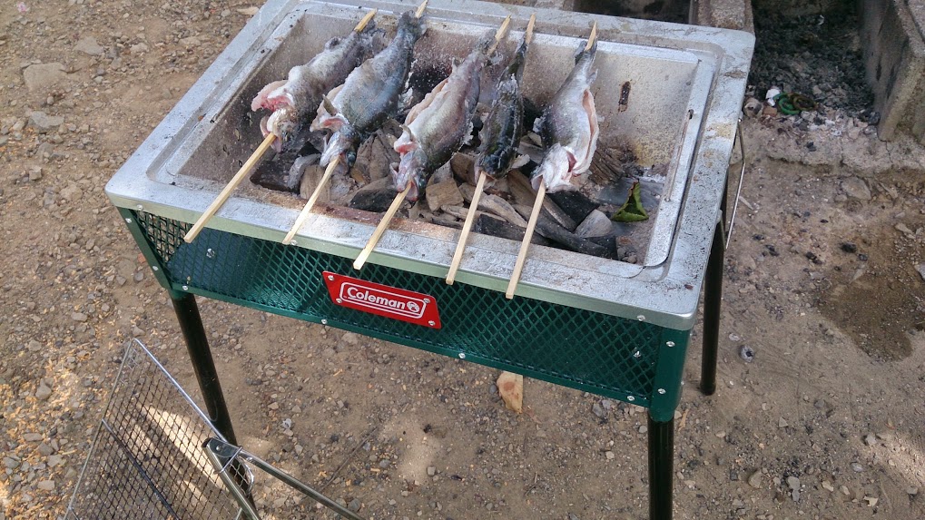 fish.jpg