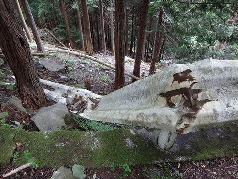 DSC01630.JPG