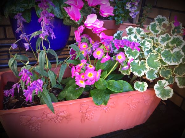 rblog-20151229111114-02.jpg