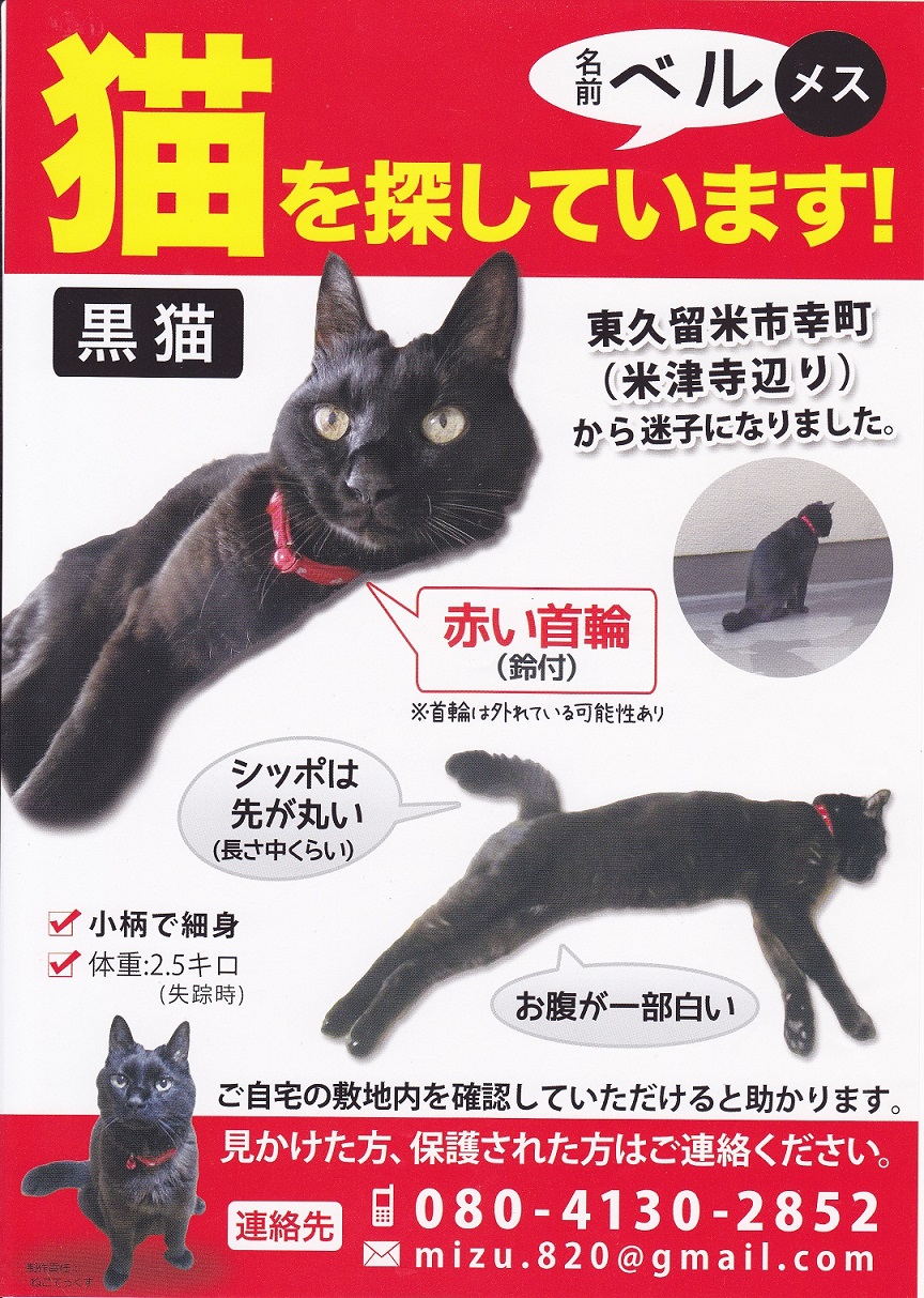 黒猫ベル.jpg