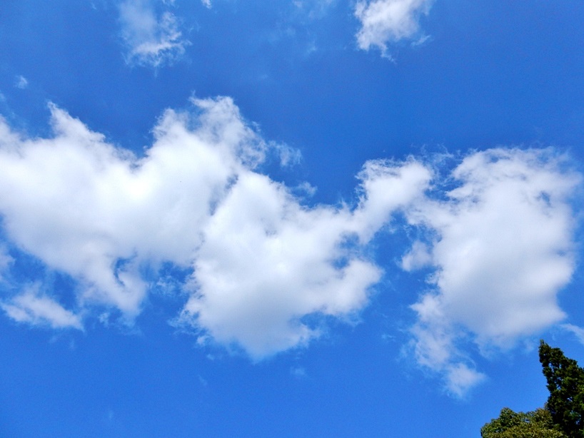 空3.JPG