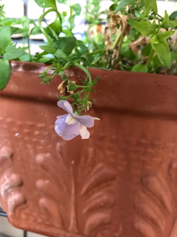 rblog-20180429183115-05.jpg