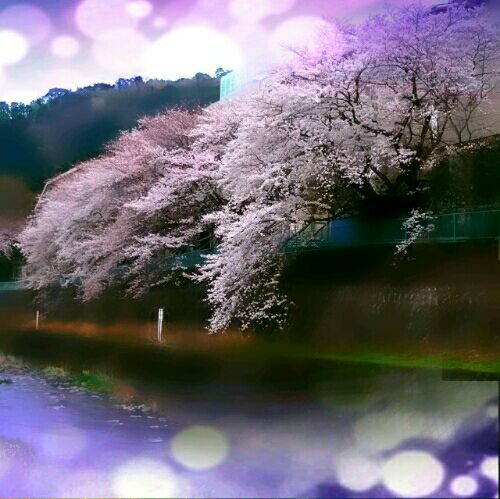 rblog-20160404092218-01.jpg