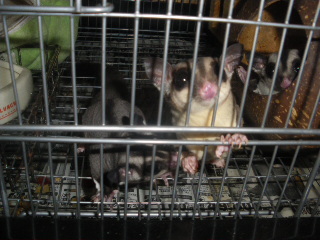 IMGP4904.JPG