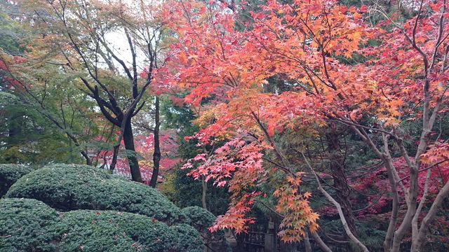 2015-11-22 10.03.07.jpg
