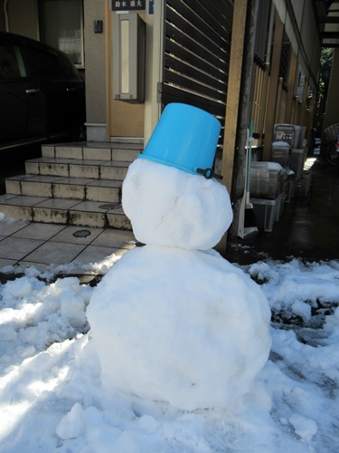 近くの雪景色＆ノエル