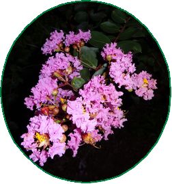 DSC01084.JPG