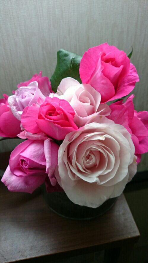 rblog-20160428200137-01.jpg