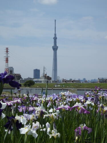 堀切水辺公園にて