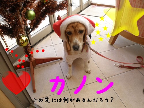 ｶﾉﾝ.JPG