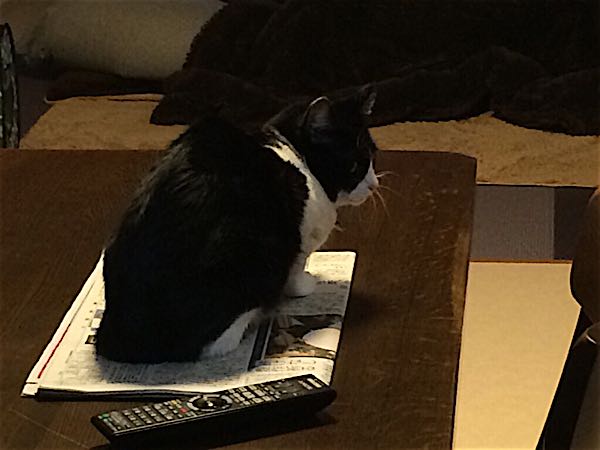 rblog-20141108063603-01.jpg
