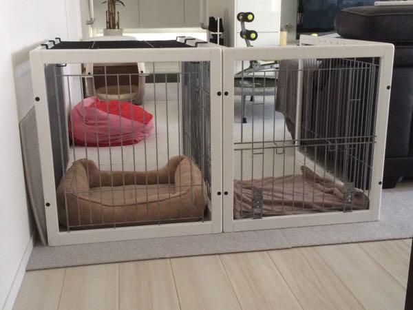 rblog-20160919134752-01.jpg