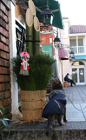 IMG_6363-1.jpg