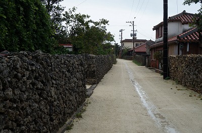 DSC03150.jpg