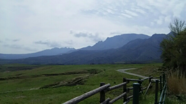 20160412_110900.jpg
