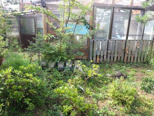 rblog-20181207010032-04.jpg