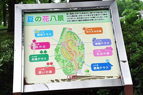 看板
