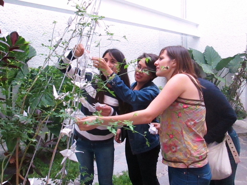 gusanito en las grullas