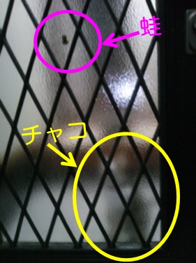 20120912_3.jpg