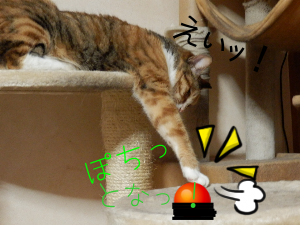 P6140022.png