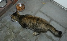 5DA_4772-20.jpg