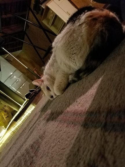 rblog-20180408095343-01.jpg
