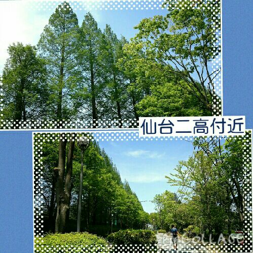 rblog-20150503220145-01.jpg