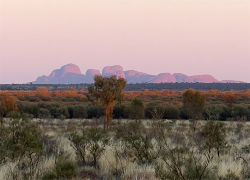 OZ872.jpg