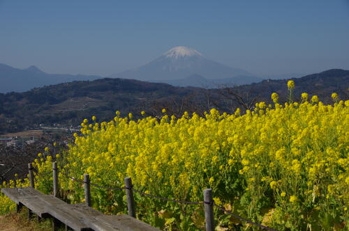 吾妻山公園