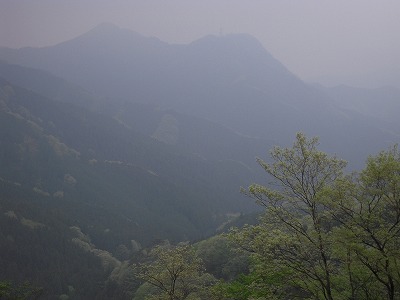 DSCN0130.jpg