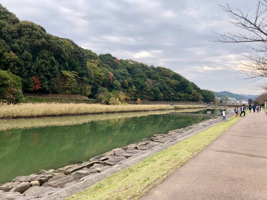 rblog-20181118210441-04.jpg