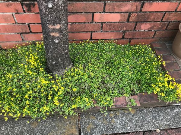 rblog-20180325190849-05.jpg