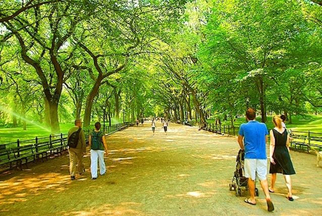 0823 centralpark.jpg