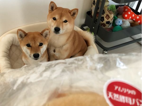 rblog-20180112092415-00.jpg